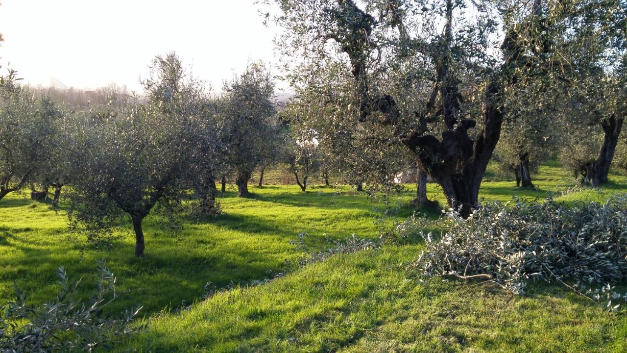 Casa "Il Brio" Villa Pistoia Eksteriør bilde